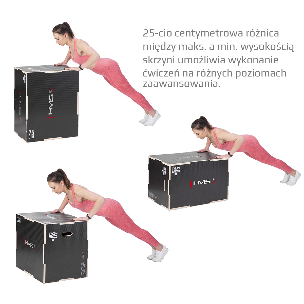 Plyo Box HMS DSC02