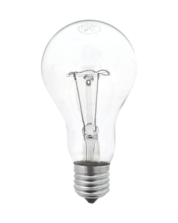 Teplotně odolná žárovka Trixline 200W, A70, E27, 2700K