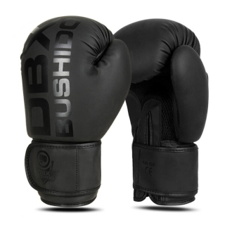 Boxerské rukavice DBX BUSHIDO B-2v21 10oz.