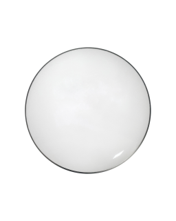 LED stropní svítidlo ESLA Q-244CP 12W 1020lm 4000K ø25cm/kruhové stříbrné QTEC