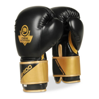 Boxerské rukavice DBX BUSHIDO B-2v10 10oz