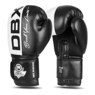Boxerské rukavice DBX BUSHIDO B-2v20 14oz