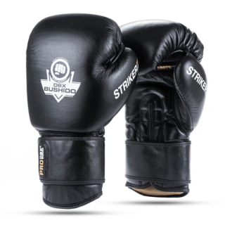 Boxerské rukavice DBX BUSHIDO Striker 12oz.