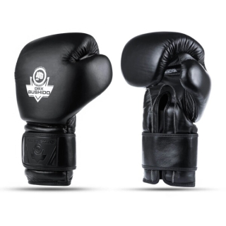 Boxerské rukavice DBX BUSHIDO B-ProFight 14oz.